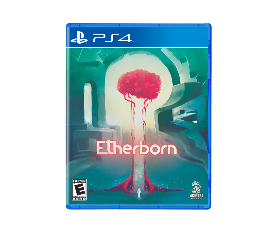 Etherborn (Playstation 4 Physical Edition)