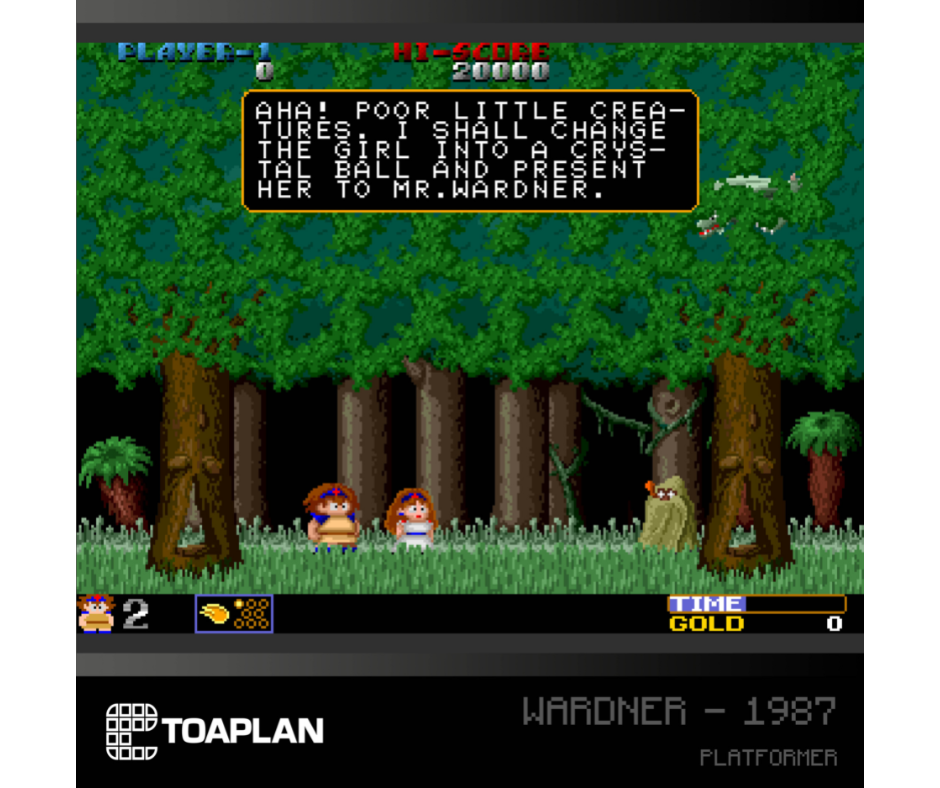 Toaplan Arcade Collection 2 - Evercade Cartridge | Blaze | PixelCrib